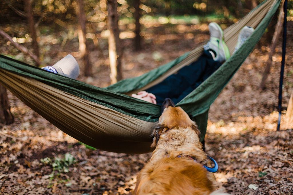 hiddenhammocks's tweet photo. Never hurt to bring along the dog

Use #HiddenHammocks to be featured!
Click link in description or visit:
https://t.co/Paz0r3aOxN
*
#hammock #hammocklife #Hammocks #hammocking #hammockcamping #hammocktime #hammockers #hammockliving #hammocklove #hammockcommunity #hammockvibes https://t.co/QAQEGJVDCE