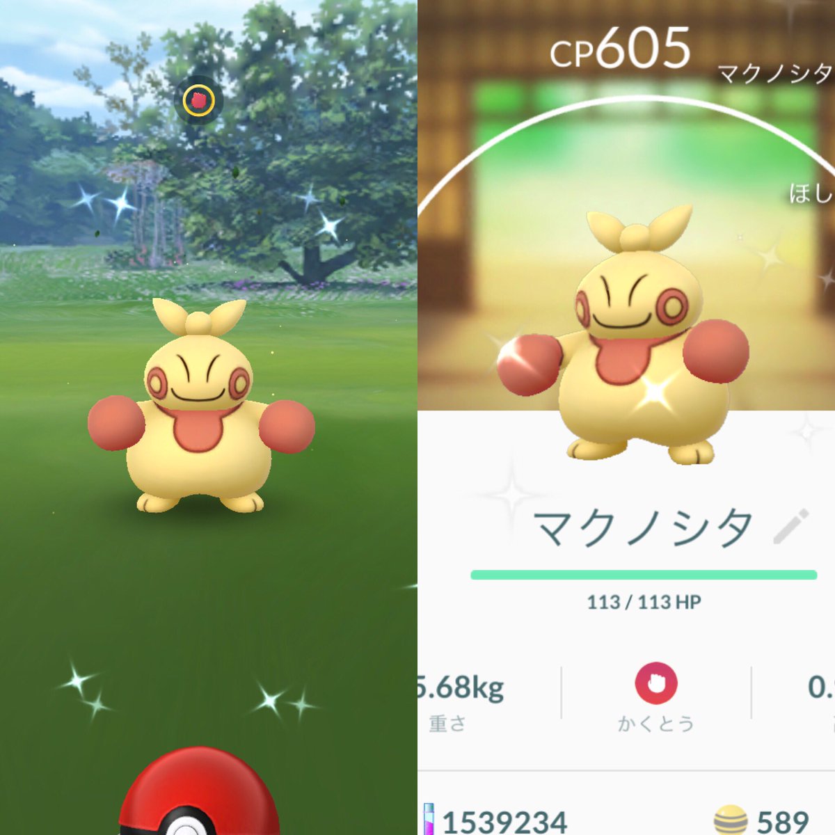 ポケモンgo速報 色違いマクノシタとアサナン出現中 ゲット報告続々 ポケモンgo攻略まとめ速報