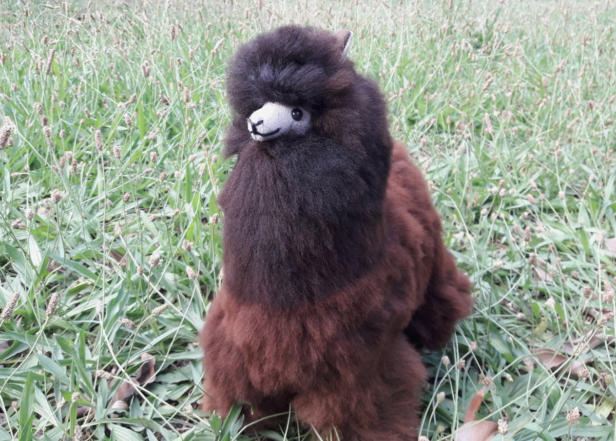 SpecialGifts_PE's tweet photo. Excited to share this item to my #etsy shop: Fluffy Brown #alpaca #softtoys #ideasformom #handmade #alpaca Fur Cozy Special Gift #ideas #unique #mothersday #online #shopping https://t.co/Srb1jIQdKf #toys #brown #giftideas #valentinesday #black #store #stuffedanimals https://t.co/oatGr4DjUr