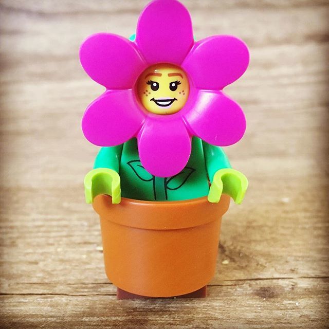 Jan_Mader's tweet photo. #Lego #minifigure #flower https://t.co/3xRRgwwZT1