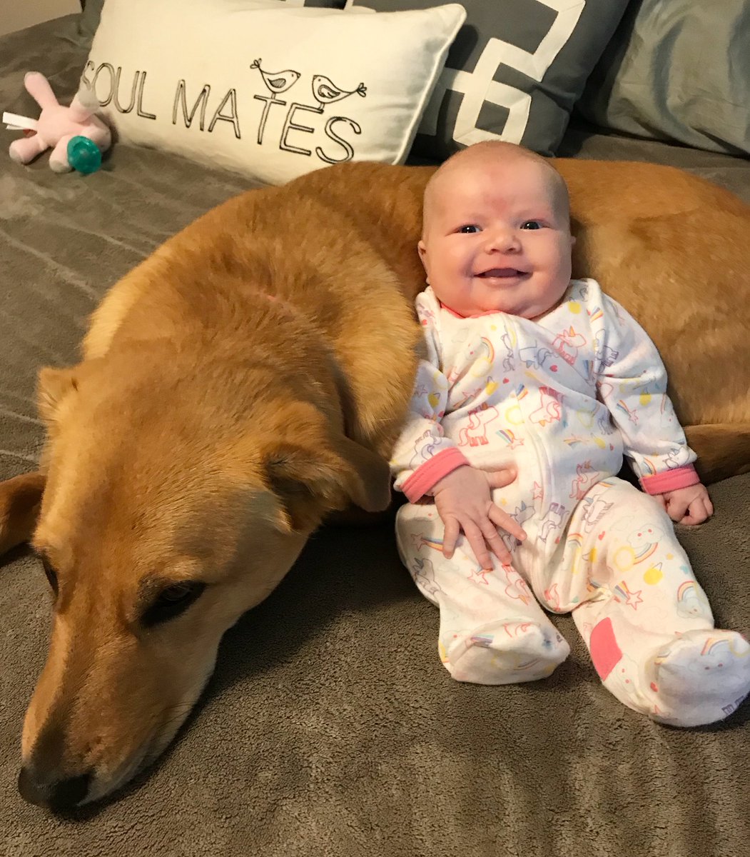 MarriedMuttMama's tweet photo. She loves her puppy💕🐶 https://t.co/n5QHY6Tdru