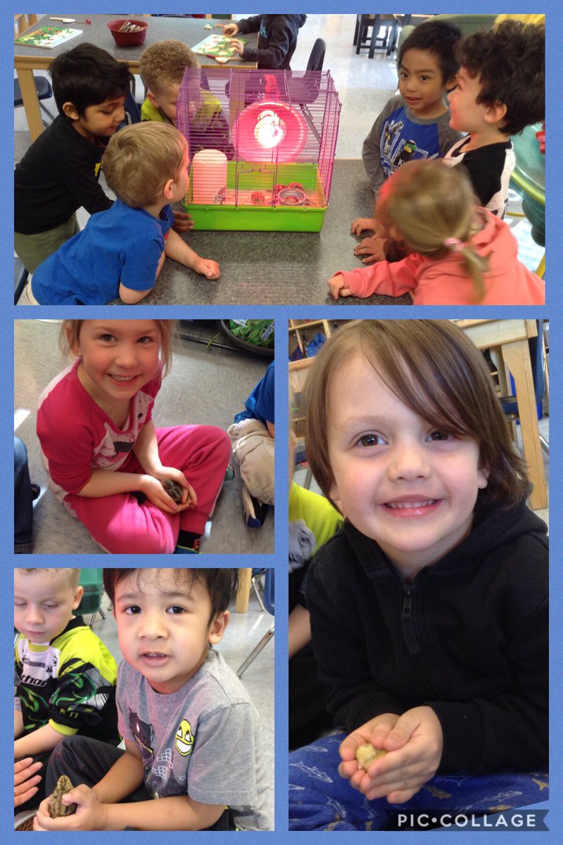SaintHenrysJr's tweet photo. Spring has sprung in Pre-K!!! #babyquails #LearninginPreK=fun https://t.co/UWHOgRWudx
