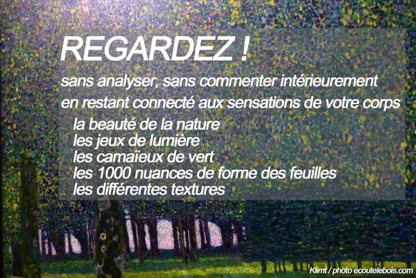 EcouteLeBois's tweet photo. #sylvotherapie, règle numéro 4 : REGARDER ! https://t.co/if7qSjL60X