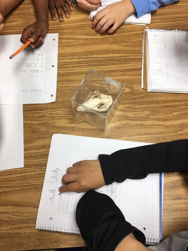 Thank you to our fantastic parents for the skull demo!