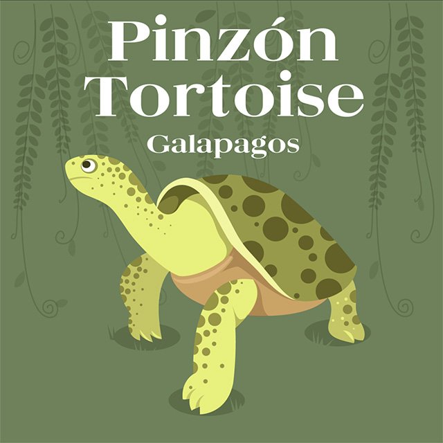 IslandConserv's tweet photo. From the Giant Panda to the Pinzón Tortoise, #conservation shows that we can #PreventExtinctions. https://t.co/a9jC5ZxhEl https://t.co/uonzuhoGz9