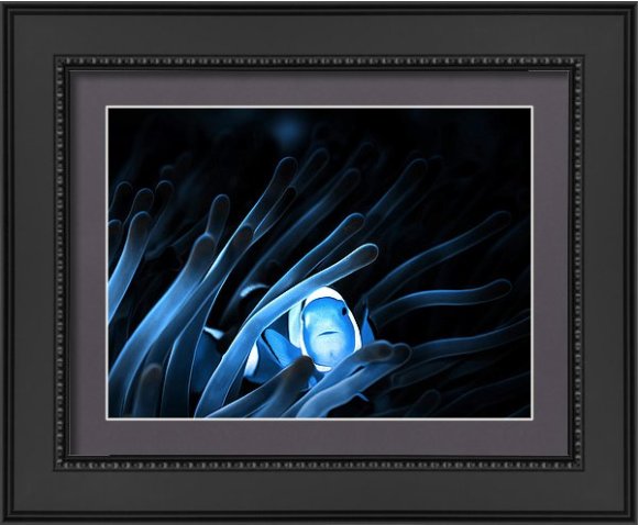 Fish #Paintings big size - How CURIOUS ARE YOU?? goo.gl/WVx1ZU 
#abstractart #modernart #originalart #fineart #art #artwork #artcollector #artlovers #myart #artforsale #artoftheday #artgallery #modernarts #ContemporaryArt #Dolphins #homedecor #homedecoration #babyroom