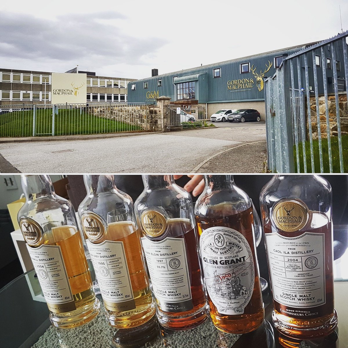 WhiskySpeller tweet media