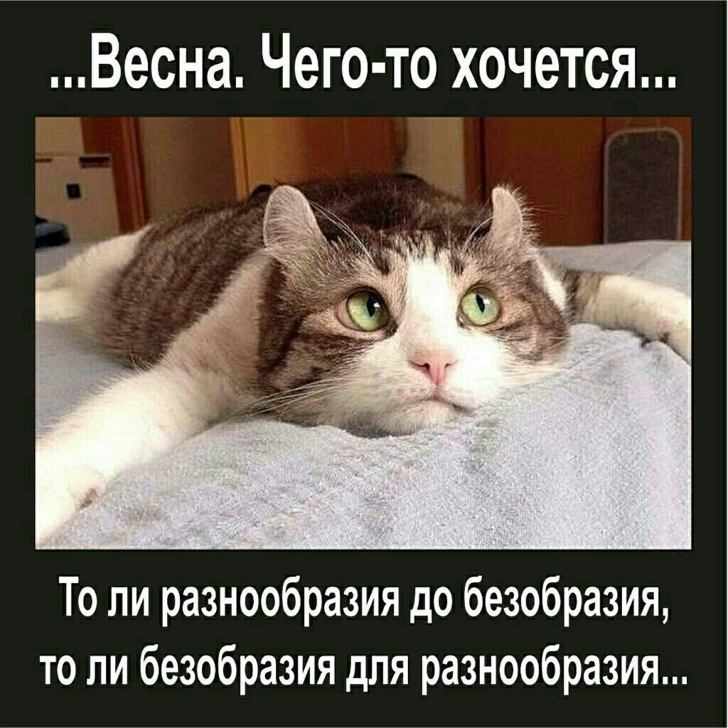 Поздравлением днем, чего то хочется смешные картинки