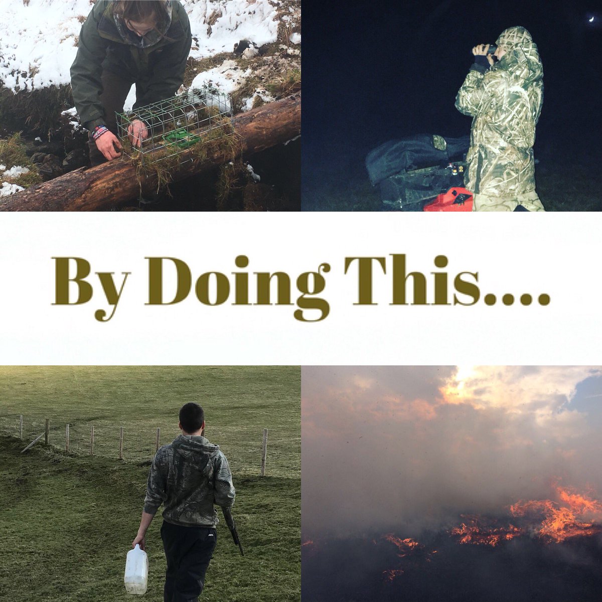 TheNPenninesMG's tweet photo. Our hard work pays off when each year the ground nesters return making the most of the safe habitat we provide 👍🏻👊🏻#northpennines https://t.co/hcUvPMBhbs