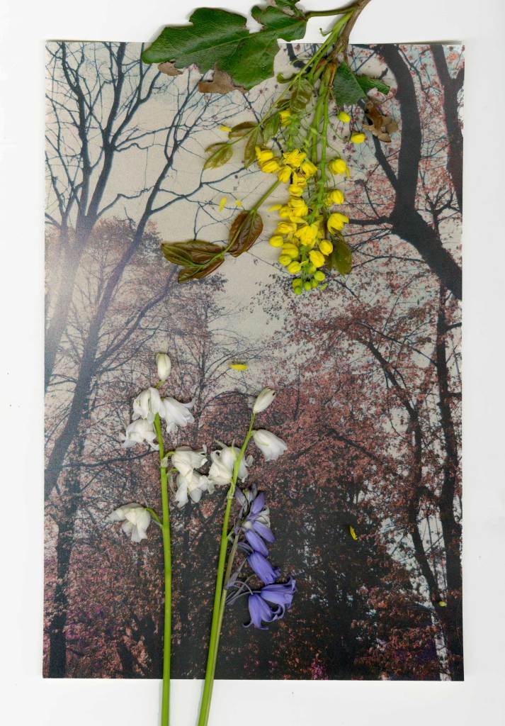 CU_phonar's tweet photo. Mate, the #phonar2018 crew are making great posts of their interpretations of assignments from The Photographer's Playbook over on the #phonar website like this one by @EMcGarryPhoto #photographersplaybook https://t.co/IPU6GyDHZq … https://t.co/m5tEv0JqL0