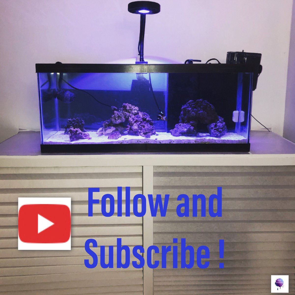 FishDevoteez's tweet photo. New video out on YouTube! The set-up of my 20 Gallon long with a DIY internal filter! https://t.co/yEFDXgqTaX #fishdevoteez https://t.co/KVN3qbTyXl