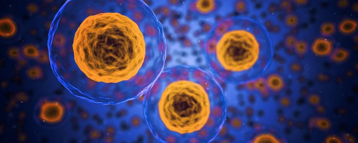 PharmProcessing's tweet photo. PharmaCyte Biotech Reports Completion Of Studies On Cells Used In Pancreatic Cancer Therapy #PharmaCyteBiotech #cancer #pharma #pharmpro  https://t.co/52FQagTMHK https://t.co/xKQS7imvYY