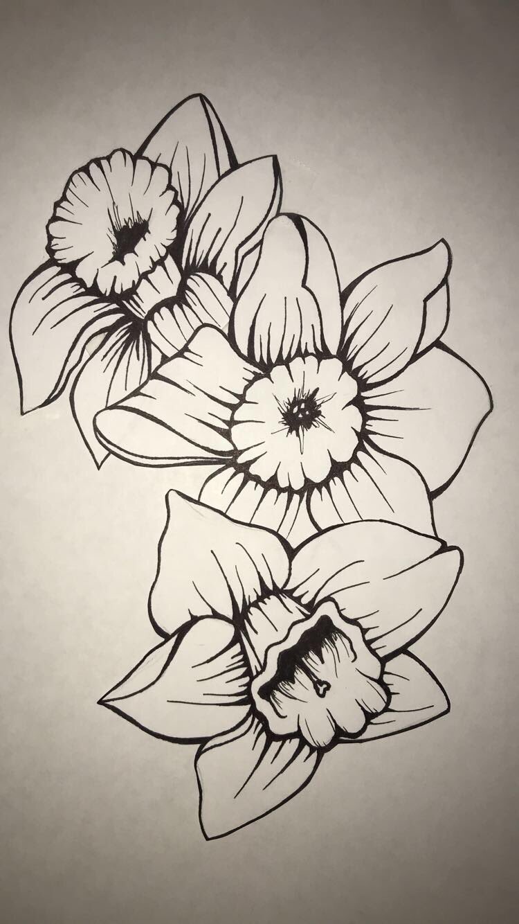 Janaee on X: "daffodil tattoo https://t.co/0hm0ZvFtWt" / X