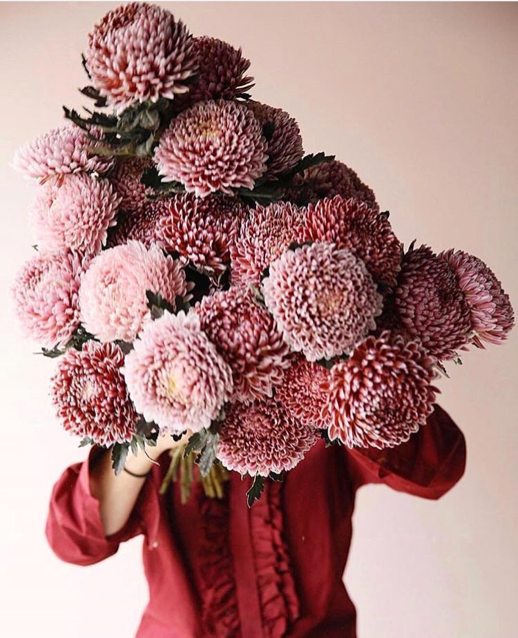 We’re inspired by nature and Flower Seekers Magazine. #flowers #nature