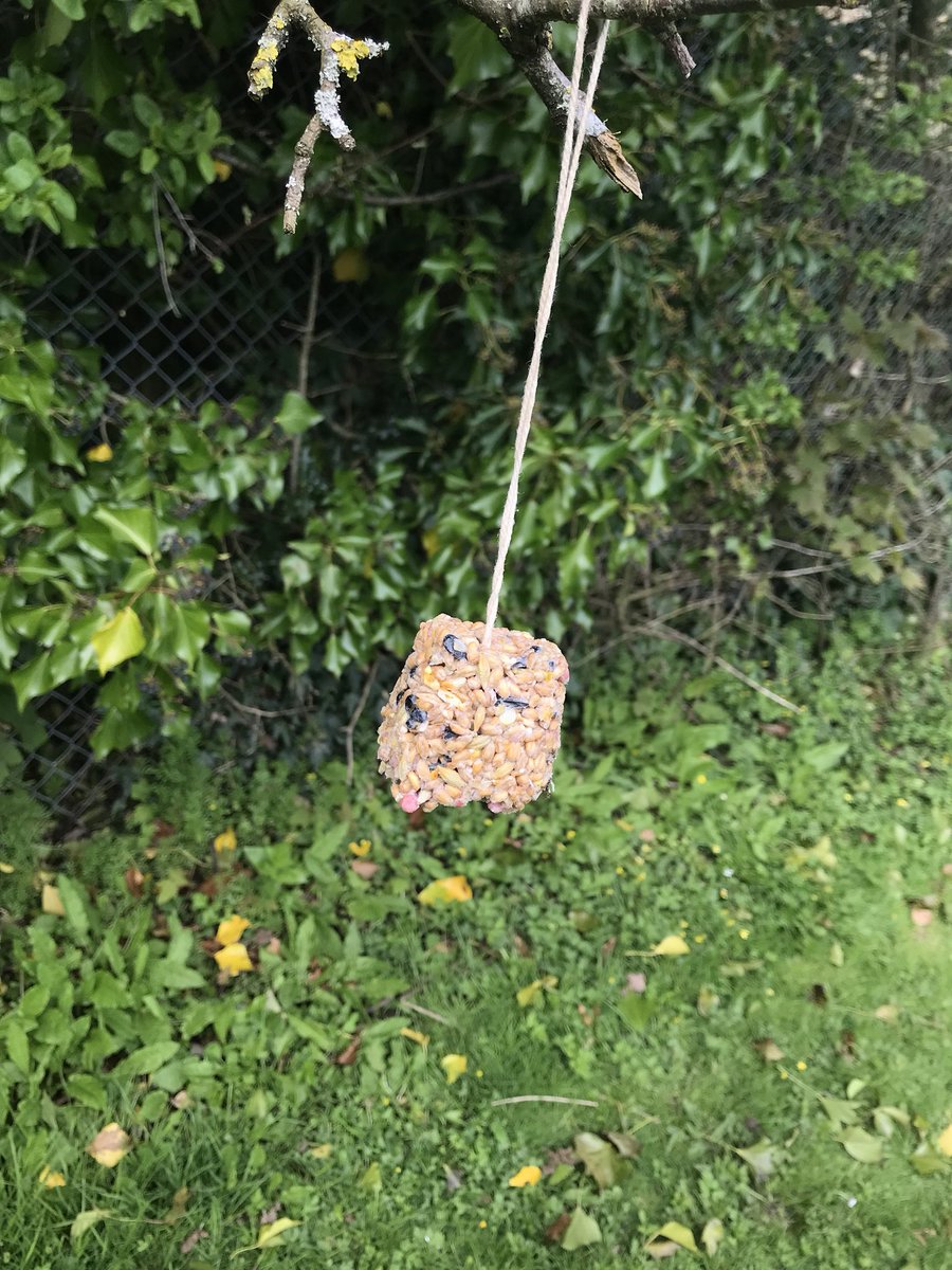 Miss Cecen tweet media