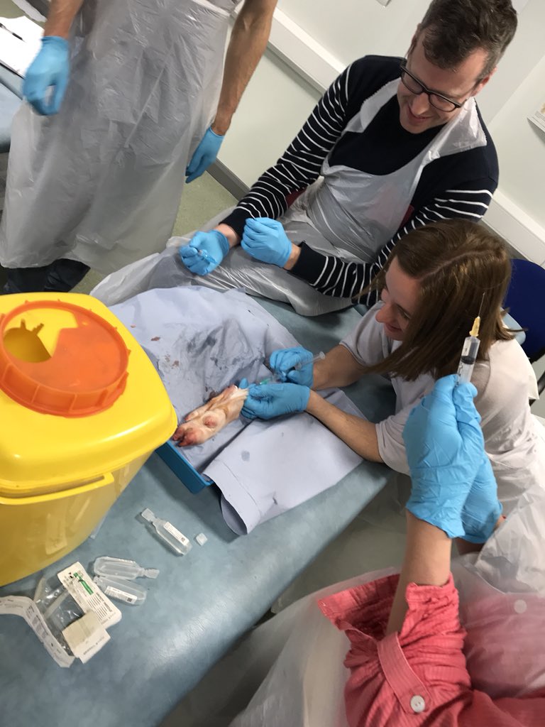 GillRphysio's tweet photo. UL neuro management in one room  MSK USS and injections in another ! 

Lots of learning and critical discussion #uclaninject  thanks @mike61668028 @pspneurorehab  @GregLittler @UCLanRehabSci @UCLanHealth @RobinSoHS @karenmayphysio @BfwMsk @and https://t.co/188KMOma9W