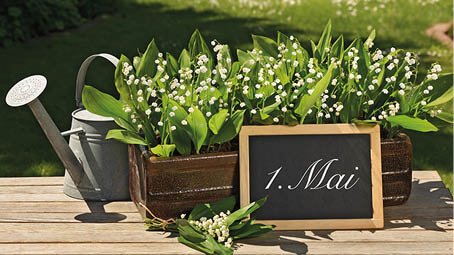 Quelques brins de muguet et beaucoup de bonheur de la part des Women du WGEC 🍀🌱