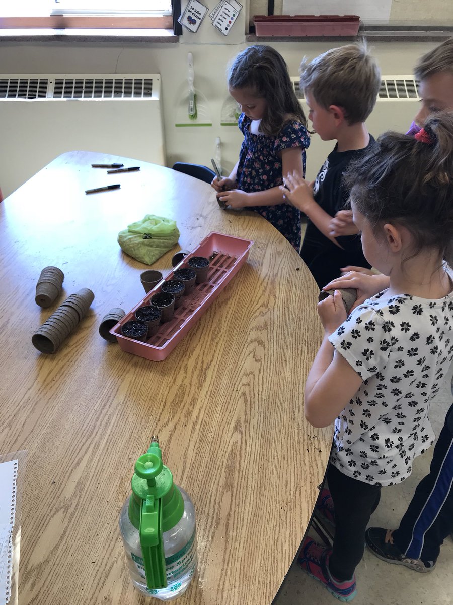mllemolzanclass's tweet photo. 🌻🌻planting the harvested sunflower seeds🌻🌻🌻@KingsvilleCobra @KPSgarden https://t.co/WL7K24Zoop