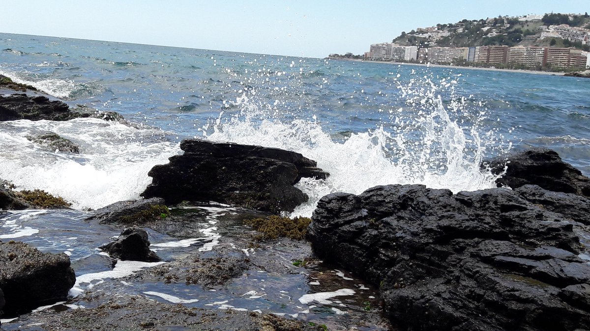 rafaelnieto66's tweet photo. En mi palco favorito, contemplo la mar, y me sugiere transparencia, inmensidad, bravura, fidelidad, lealtad, sosiego, cura, consuelo, equidad, .... en todas las costas que baña, cómo debería ser la sanidad pública #marysanidadpública 
@berege7 @CorneliaCinna @fidel_FQ @CarmGGr https://t.co/8qix1x5Fr8