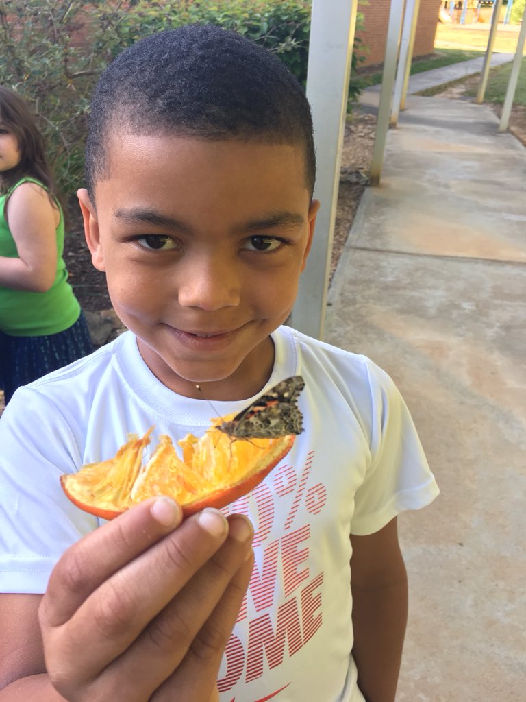 amandalovett's tweet photo. We joined Science Lab this morning to see the butterflies being released. #LiveLearnLovett https://t.co/jCQh5s5FyJ
