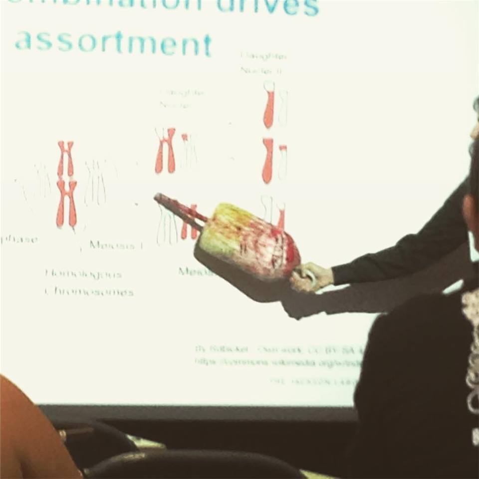 What do you do when you are presenting in Maine and the pointer dies? You become resourceful and use a lobster buoy just like Professor @ElissaJChesler did during her #complextraits lecture at the Neurogenetic Tools #shortcourse held @jacksonlab today. jax.org/education-and-…