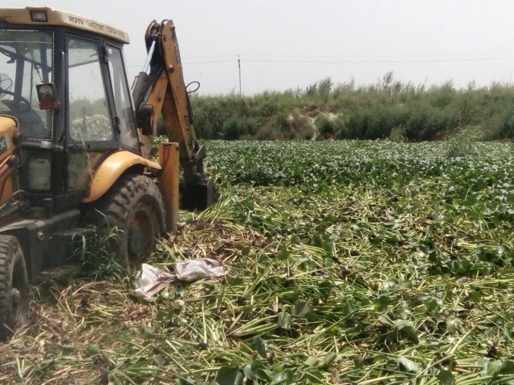 PKumar59's tweet photo. Hindon cleaning by locals continues on 10th day. More than 3 km river cleaned. Heaps of Jalkumbhi to b converted in to manure. Can’t resist appreciating enthusiasm &amp; involvement of people, Pradhan Pura Mahadev, employees/officers, Raman. Request other Pradhans to emulate. https://t.co/R19Gc00odM
