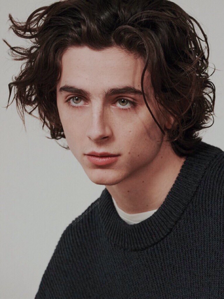 Timothée Chalamet, VMAN, 2018, Cover