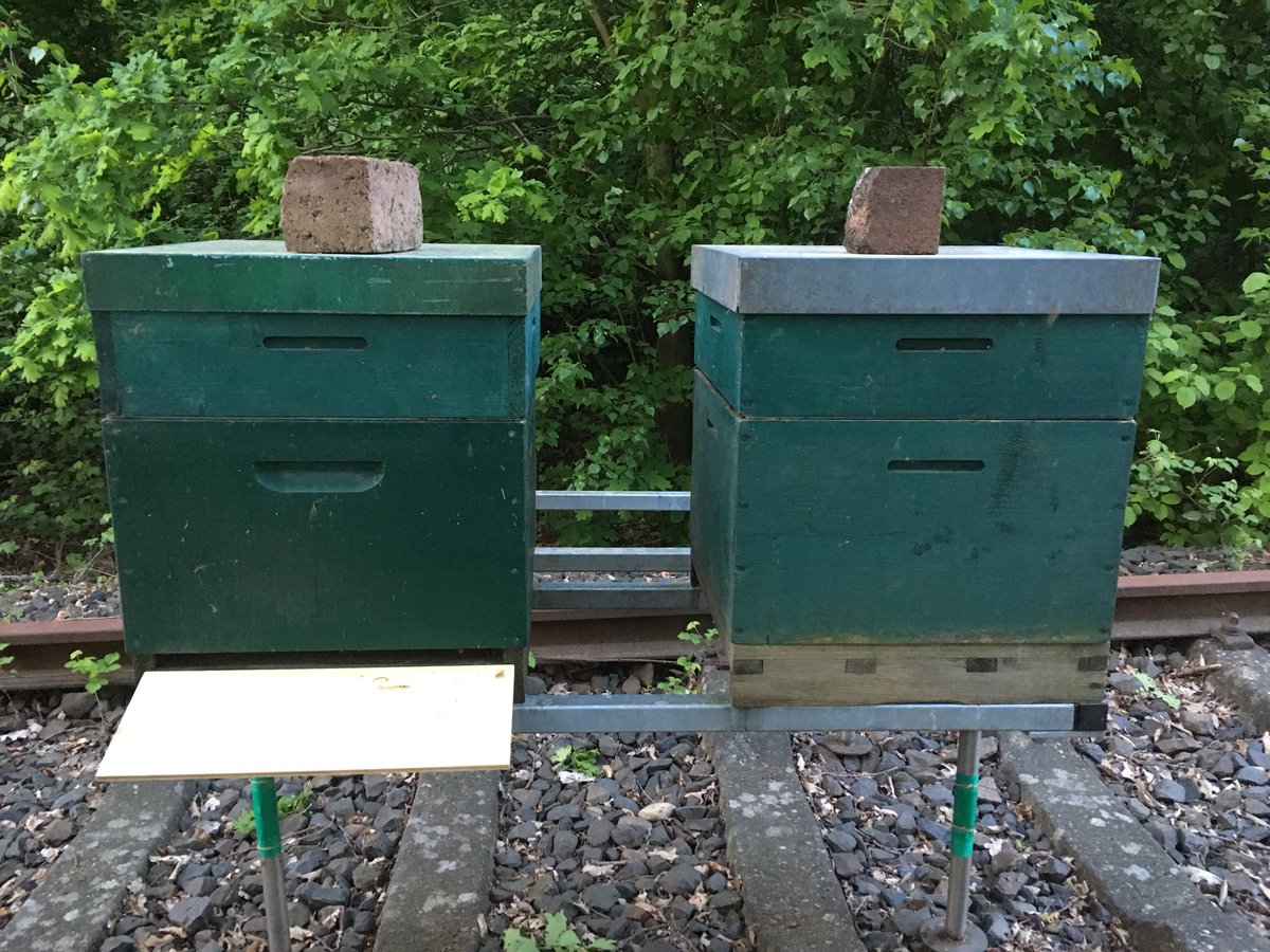 Na, wer hat sie schon entdeckt? Seit dieser Woche gibt es zwei Bienenvölker auf den Gleisen in #Buschdorf. Wir wirken dem allgemeinen Bienensterben entgegen! #rettetdiebienen
