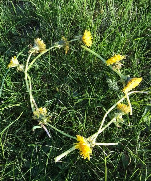 mookychick's tweet image. Thank you to Bellamook (not on Twitter) for sharing her #MayDayMagic crown. It is SO perfect. It speaks of childhood. Of lying down in the grass, made drowsy by the humming of bees. We shall all wear the crown. #Beltane mookychick.co.uk/health/spiritu…