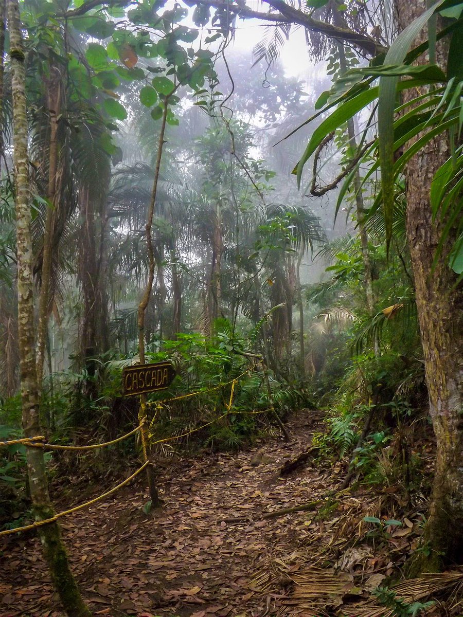lonelyplanet's tweet photo. Best countryside detours from Bogotá https://t.co/NSIqSqDCBs by @j_deklerk https://t.co/NSHTPLhqtV
