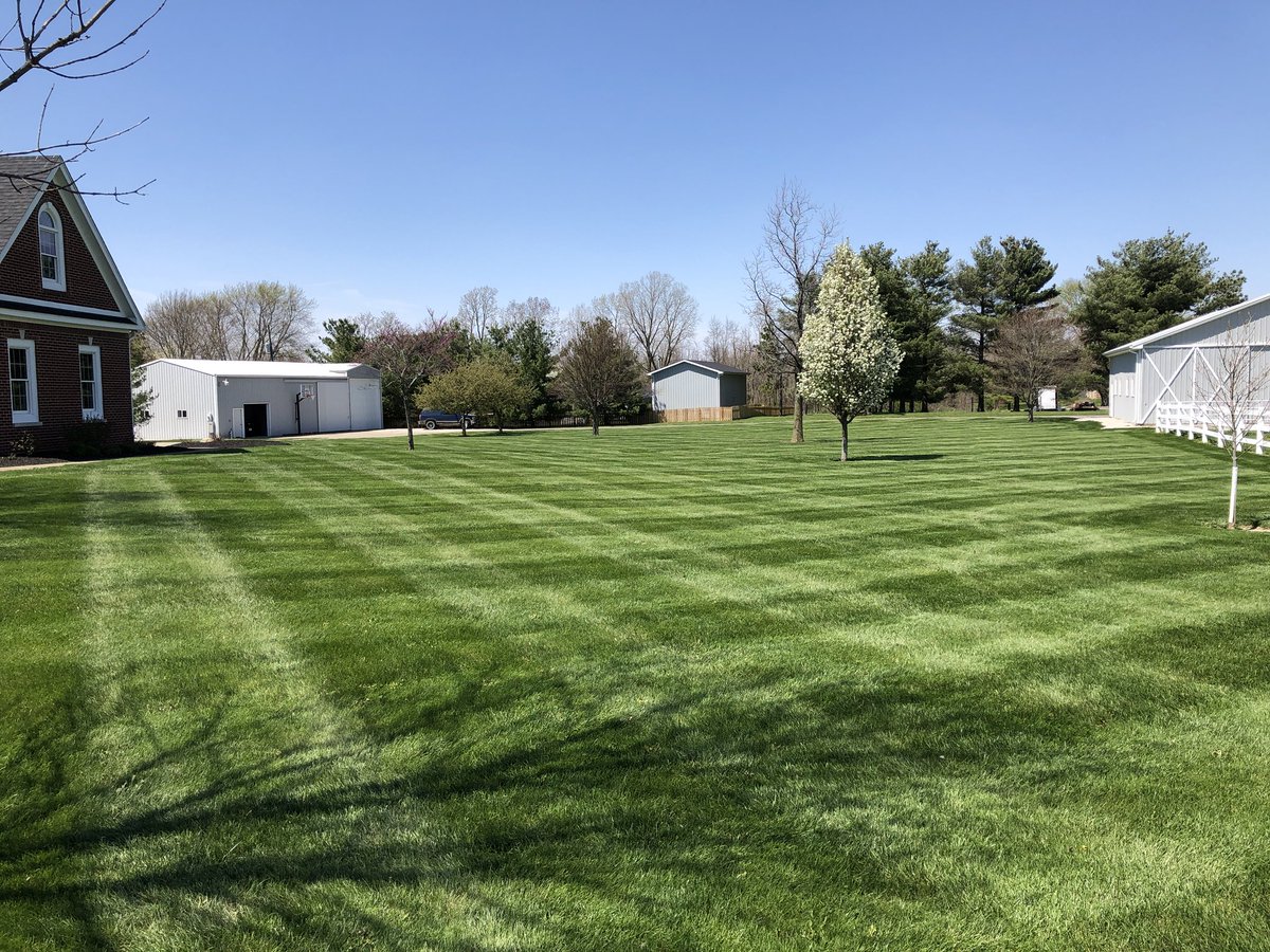 spencerbayston's tweet photo. Life goals in order:

1. Have a good looking lawn
2. Be a successful race car driver https://t.co/9nUOes9fcX