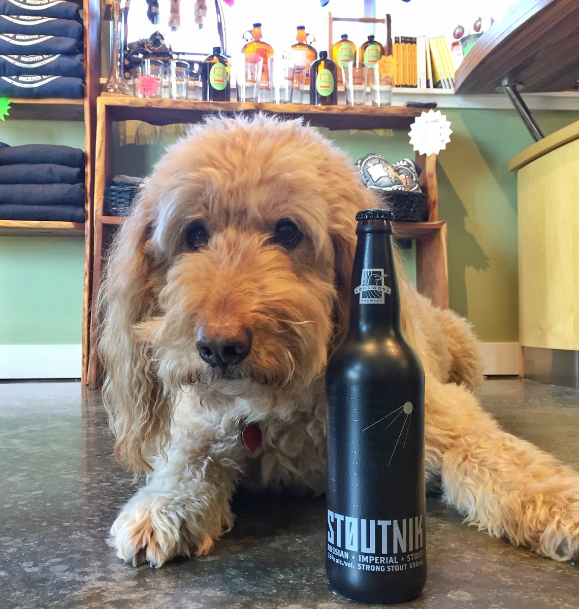 LongwoodBrewery's tweet photo. Milo the Longwood brew dog has voted….have you? Last day to vote in the label contest. We're in finals!
How to vote? 👉 See 1st post on our Facebook page. https://t.co/ubQKswTHYx
Thank you from Milo & the LW brew crew! #thinkuniversal #hiredguns #seanfenzl https://t.co/5aGMLoqRim