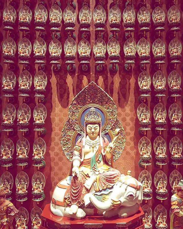 Imeshd's tweet photo. When you change the way you look at things, the things you look at change. 🇸🇬
.
.
.
.
.
.
.
.
#photooftheday #picoftheday #instagood #instadaily #igers #colour #symmetry #temple #red #buddha #buddhist #singapore #religion #travelgram #travel #water #… https://t.co/uBZgoe4XZl https://t.co/2oLZ4TI7e9