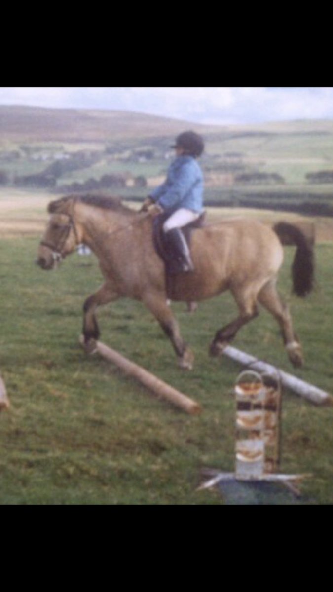 alibogue's tweet photo. Throwback to me and my pony Dandy looking really happy to be at a pony club rally about 25 years ago #glamlife #greatposition #cantsee #eventinghour #swag https://t.co/LzHRJndfzJ