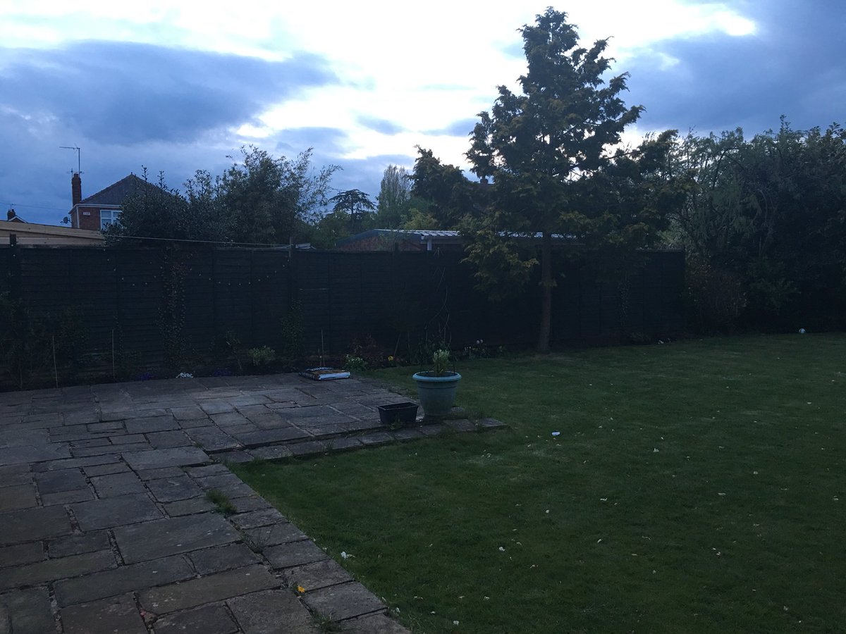 Emma_Hewitt's tweet photo. Enjoyed a happy half-hour tending to my flower beds this evening #spring #middleagedlifegoals https://t.co/01WrodDnrj