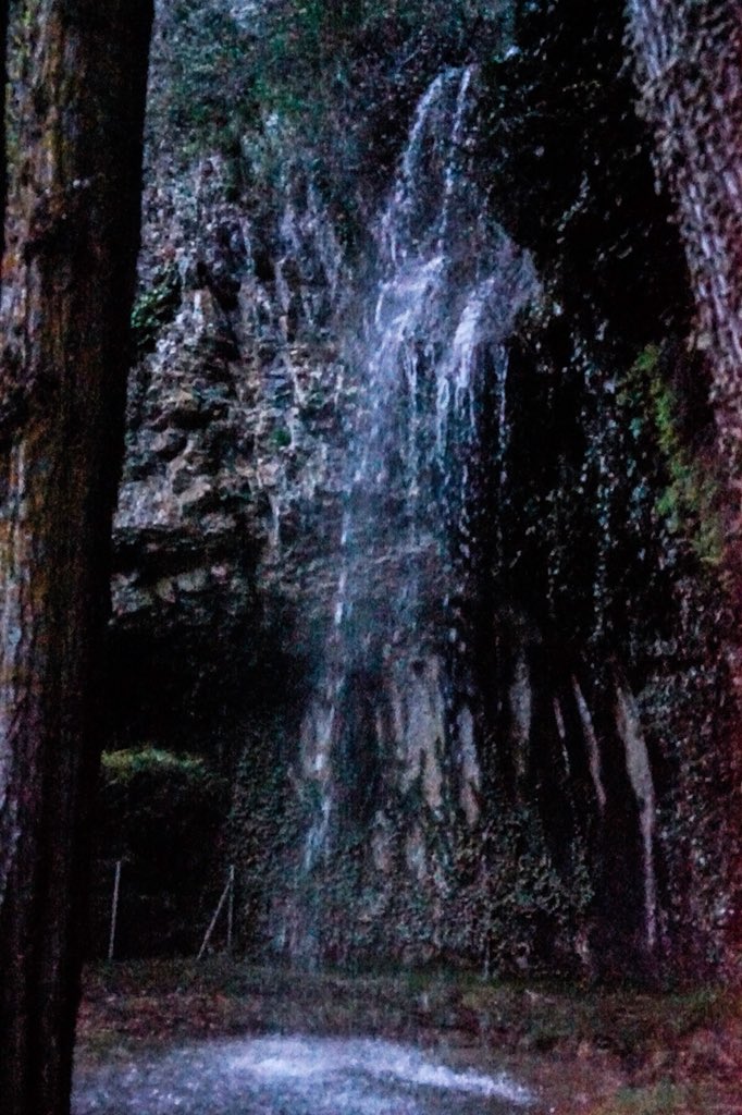 SofiCasCar's tweet photo. Cascada LA COLADERA 
Sorprende el maravilloso rincón

#Basconcillos del Tozo
#Burgos https://t.co/rL8R5d5jjn