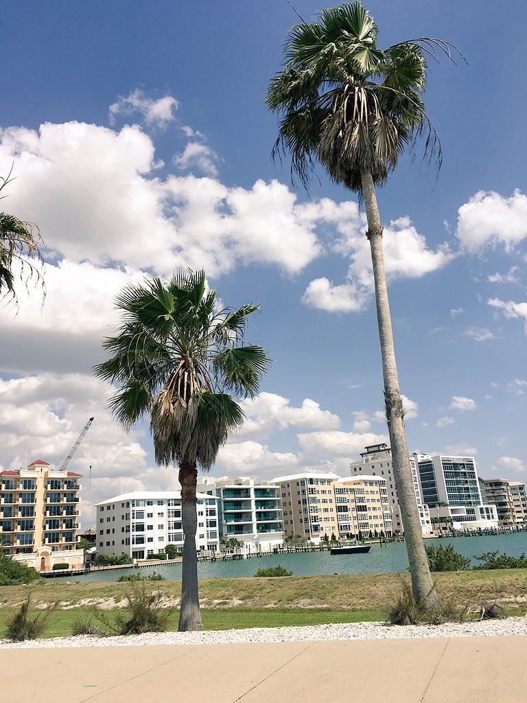 hannahc1's tweet photo. Siesta key 💜💙 https://t.co/12rgwhyBg1
