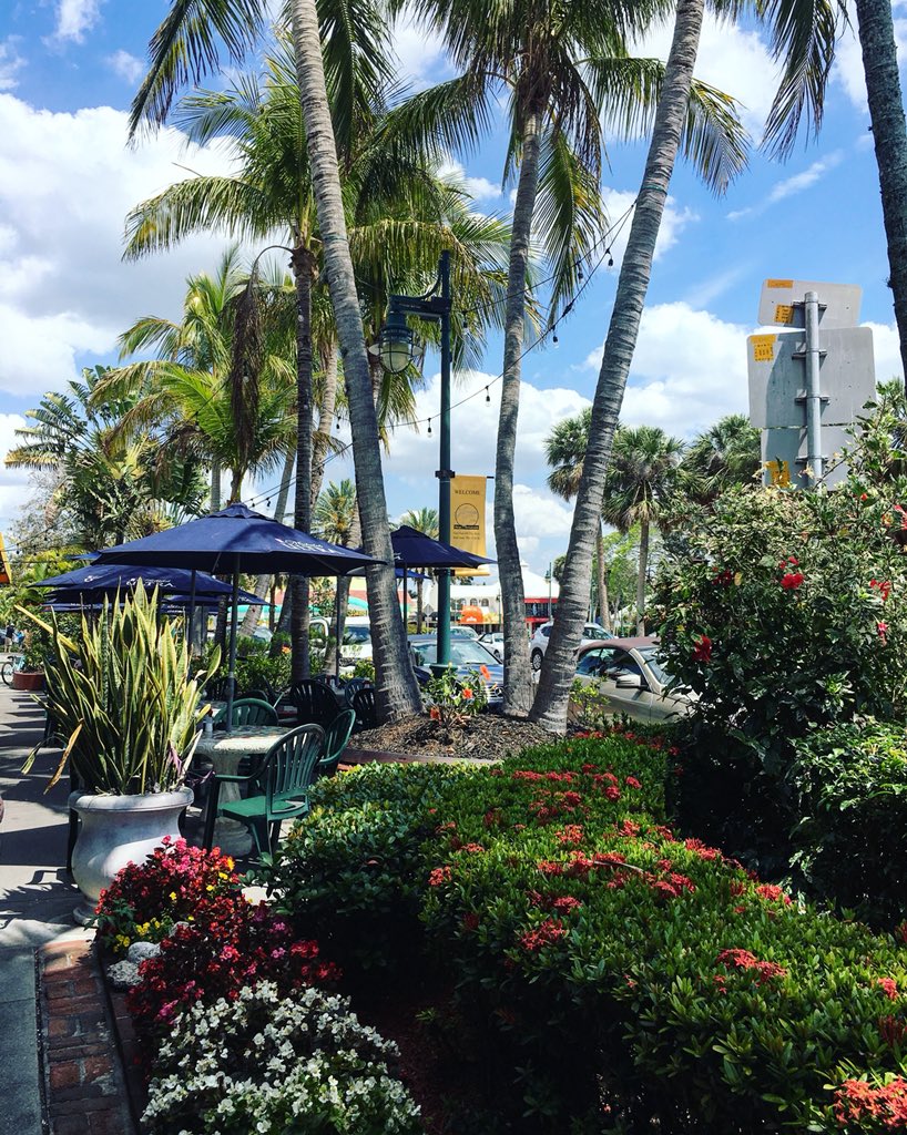 hannahc1's tweet photo. Siesta key 💜💙 https://t.co/12rgwhyBg1