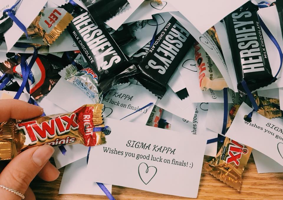 JMU Sigma Kappa tweet media