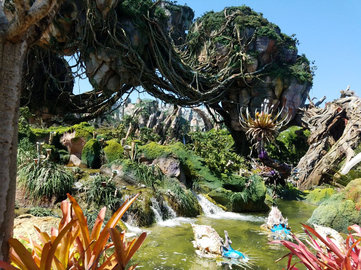 LanguageOn's tweet photo. Learning #English in Orlando is a great adventure! #Pandora #ESL #Orlando https://t.co/tUa6vlOCNZ https://t.co/4WGD9gASnu