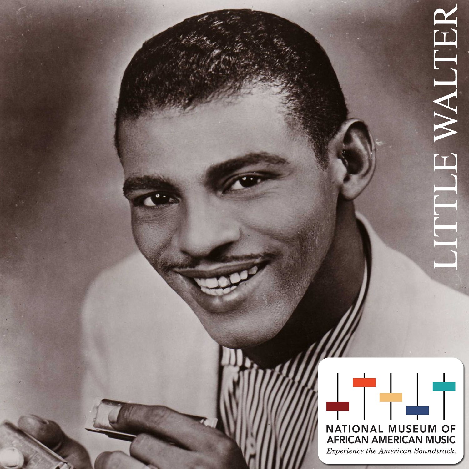 Happy Birthday to the late great Little Walter!    