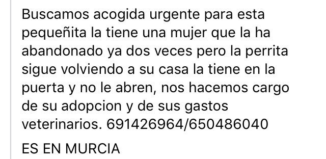 ASRphotographer's tweet image. Esta pequeña busca hogar. Esta en Murcia. Me ayuda a difundir? @perezreverte @AytoMurcia @AUGC_SEPRONA #urgente #adoptanocompres #RealMadridvsbayern #realmadrid #Murcia #ULTIMAHORA @Antoniasanjua @Ainhoarteta #RT