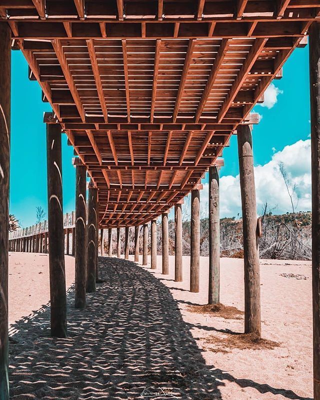 tiratepr's tweet photo. Playa Jobos, Isabela
📷 @kevinxavierpr
👥 Utiliza nuestro #tiratepr
#playajobos #isabela #puertorico #beachday #20likes #tiratepr https://t.co/GmaFiCsSCY