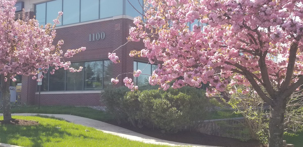 BroadpathPR's tweet photo. Gorgeous spring weather at the office today in #BucksCounty! Off to support clients and the #PHLTech #startup community for #PTW18. https://t.co/t6b0bA0YYj
