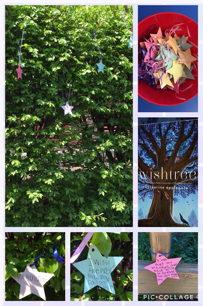 MuhlbergerB's tweet image. Today is #Wishday @SASD_Franconia 3rd grade. Just like in the book “The Wishtree”! #sasdpride