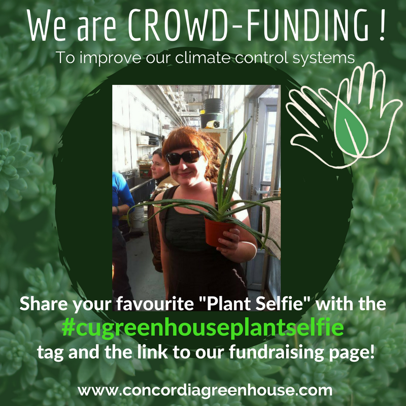 WE ARE CROWD-FUNDING TO FIX OUR CLIMATE CONTROL! 
 concordia.ca/alumni-friends…
Please share, take a plant selfie and DONATE!