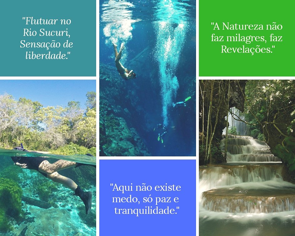 riosucuri's tweet photo. Venha para Bonito, passear de mãos dadas com a natureza. 🐊🐍🐟🐠🦀🦐🌷🌹🌺🌻🌞🏞️🌅
#RioSucuri #Flutuação #Bonito #BonitoMS #Ecoturismo #EcoturismoBrasil #Natureza #Nature #Picstoday #Instapics #RiverSucuri #MS #EcoturiamoMS #MatoGrossodoSul📍Rio Sucuri | Bonito MS https://t.co/n09CwN1yUY