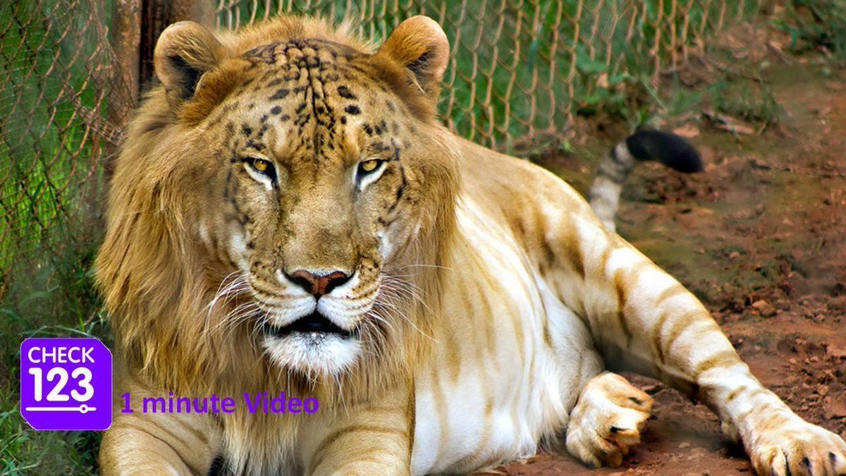 Check123 NATURE tweet media