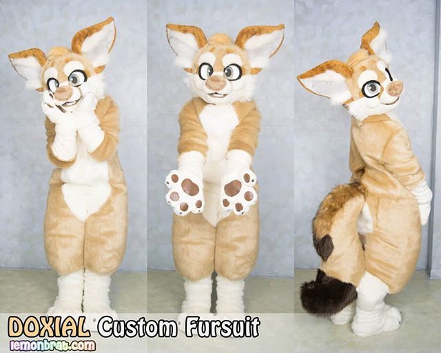 Fennec Fox Fursuit