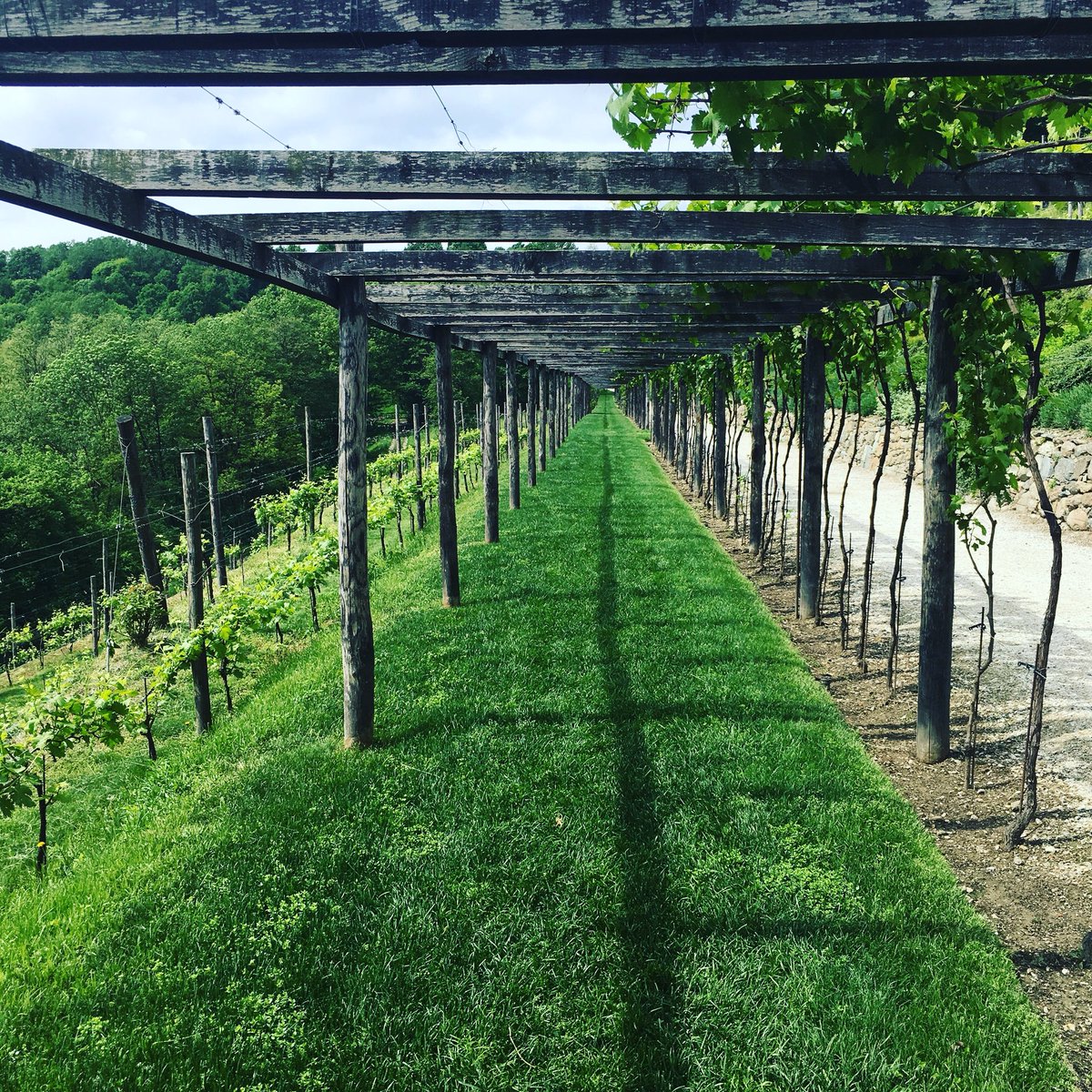 eatpiemonte's tweet photo. Un grande progetto quello di @vistaterra_off al Castello di Parella. Vale il viaggio, 40 minuti da Torino ma comodo anche da Milano. Botteghe, Enoteca e ristorante. Info su https://t.co/xjmVne3sdJ 🍾🥄🥄🍽🍷#Canavese #wearepiemonte https://t.co/wXNyXQf0og